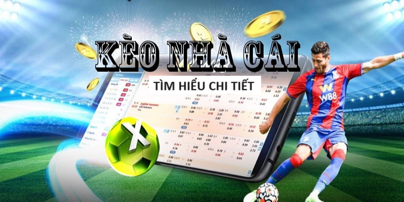 MIBET-Code tân thủ - Cơ hội để bắt đầu một cuộc phiêu lưu mới!