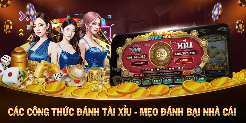 xoso66-Tận hưởng ưu đãi đặc biệt với code tân thủ!